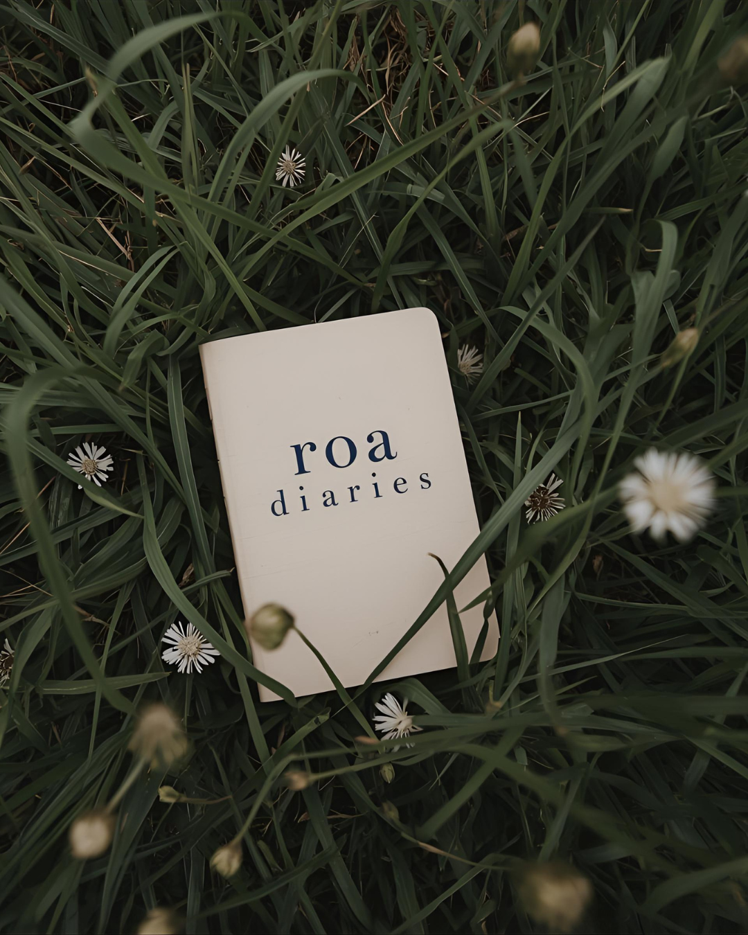 Welcome to roa diaries!